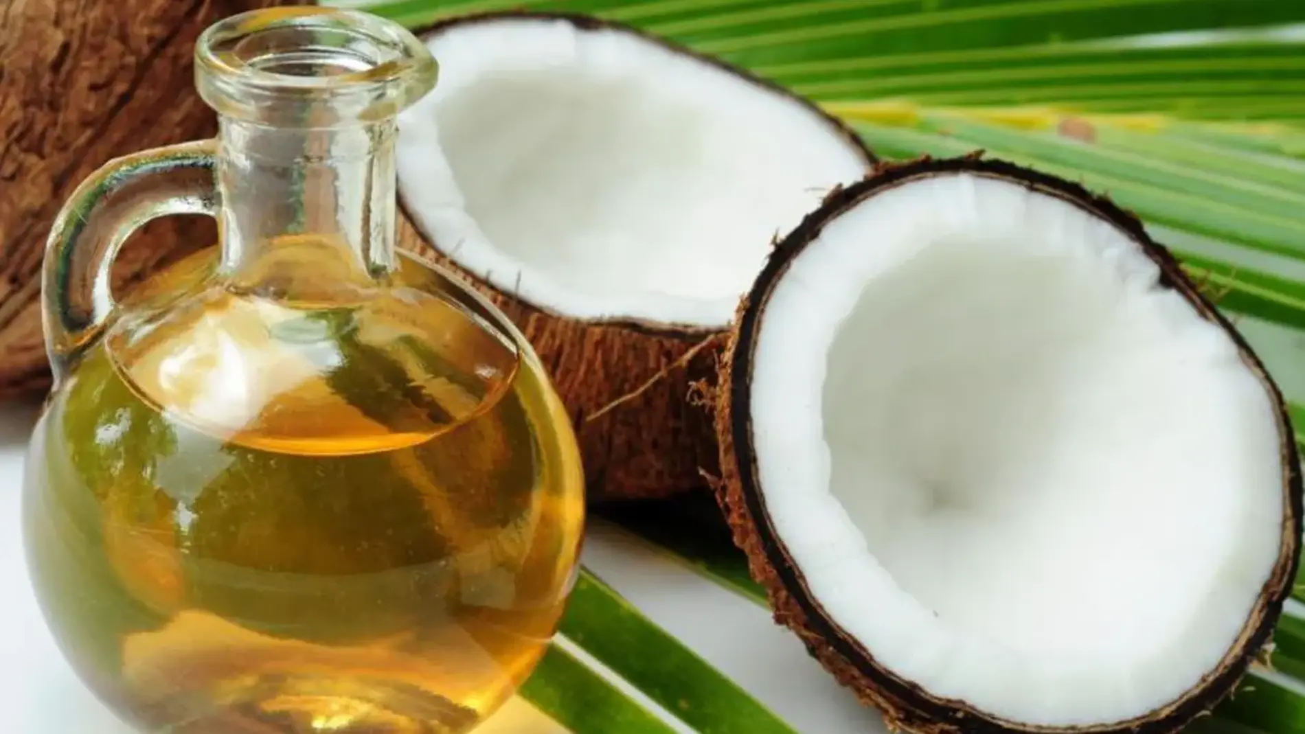 Claves para el consumo de aceite de coco - Salud 