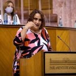 La portavoz del grupo parlamentario de Adelante Andalucía, Ángela Aguilera, durante su intervención en el Parlamento andaluz