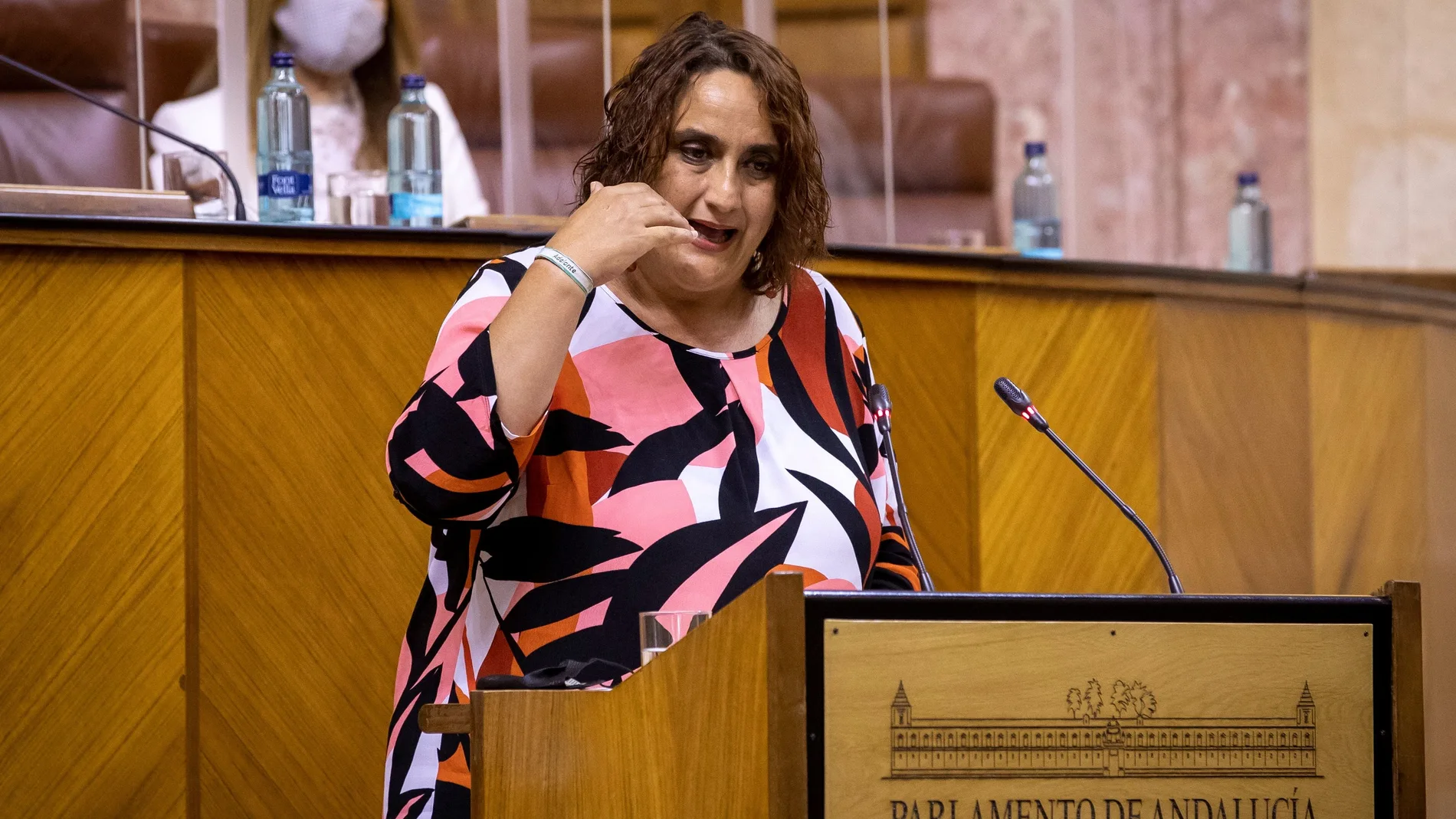 La portavoz del grupo parlamentario de Adelante Andalucía, Ángela Aguilera, durante su intervención en el Parlamento andaluz