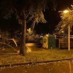 Daños en Cartaya por el temporal
