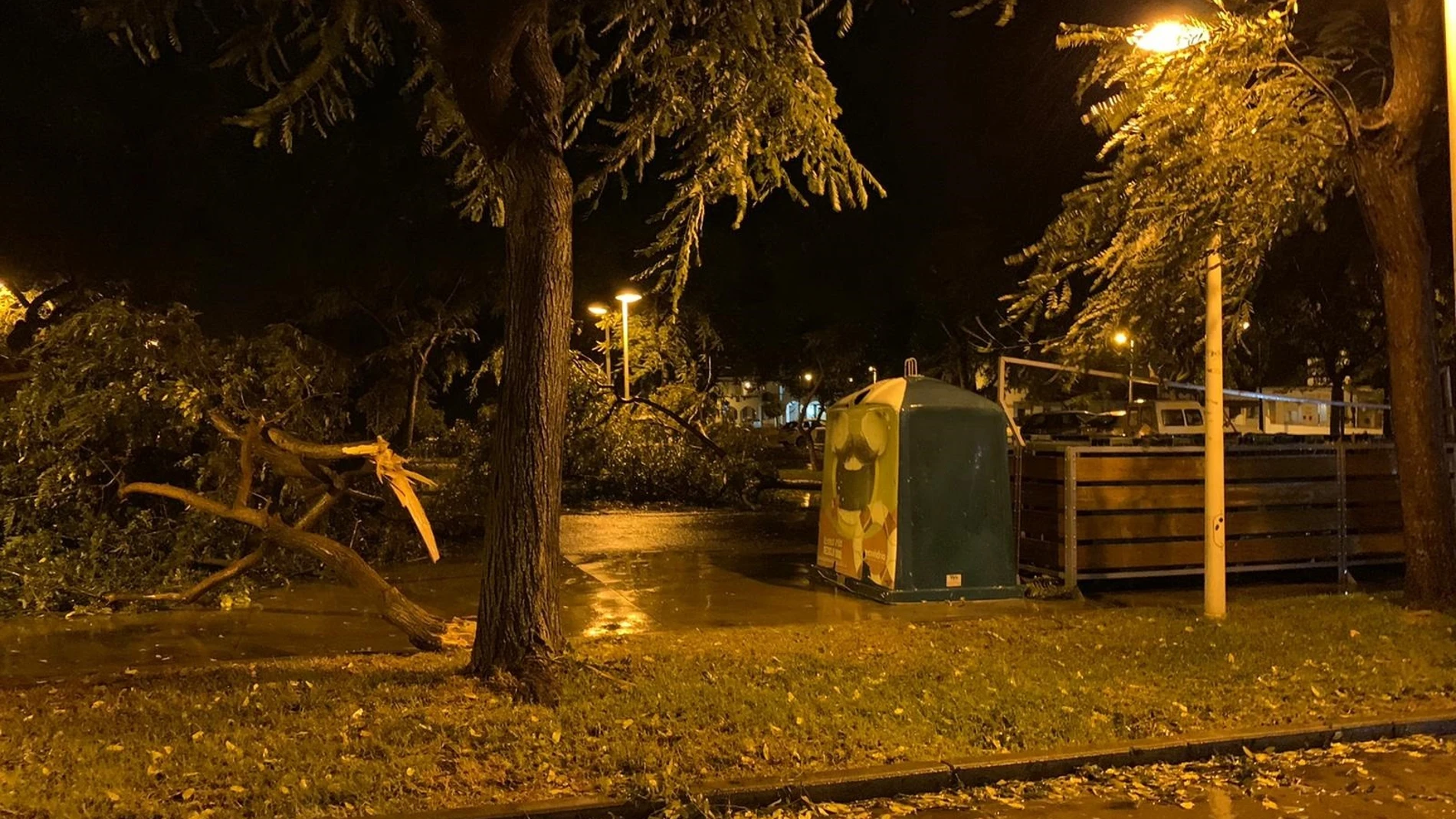 Daños en Cartaya por el temporal