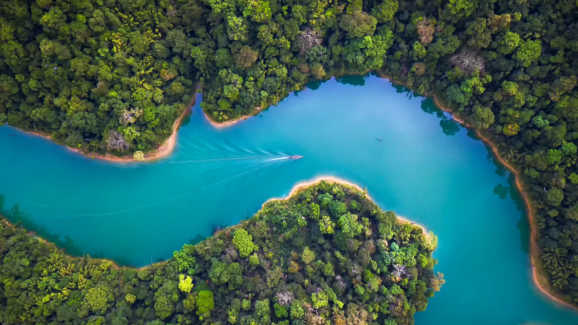 El Pacto Verde Europeo es la nueva estrategia para un continente climáticamente neutro en 2050