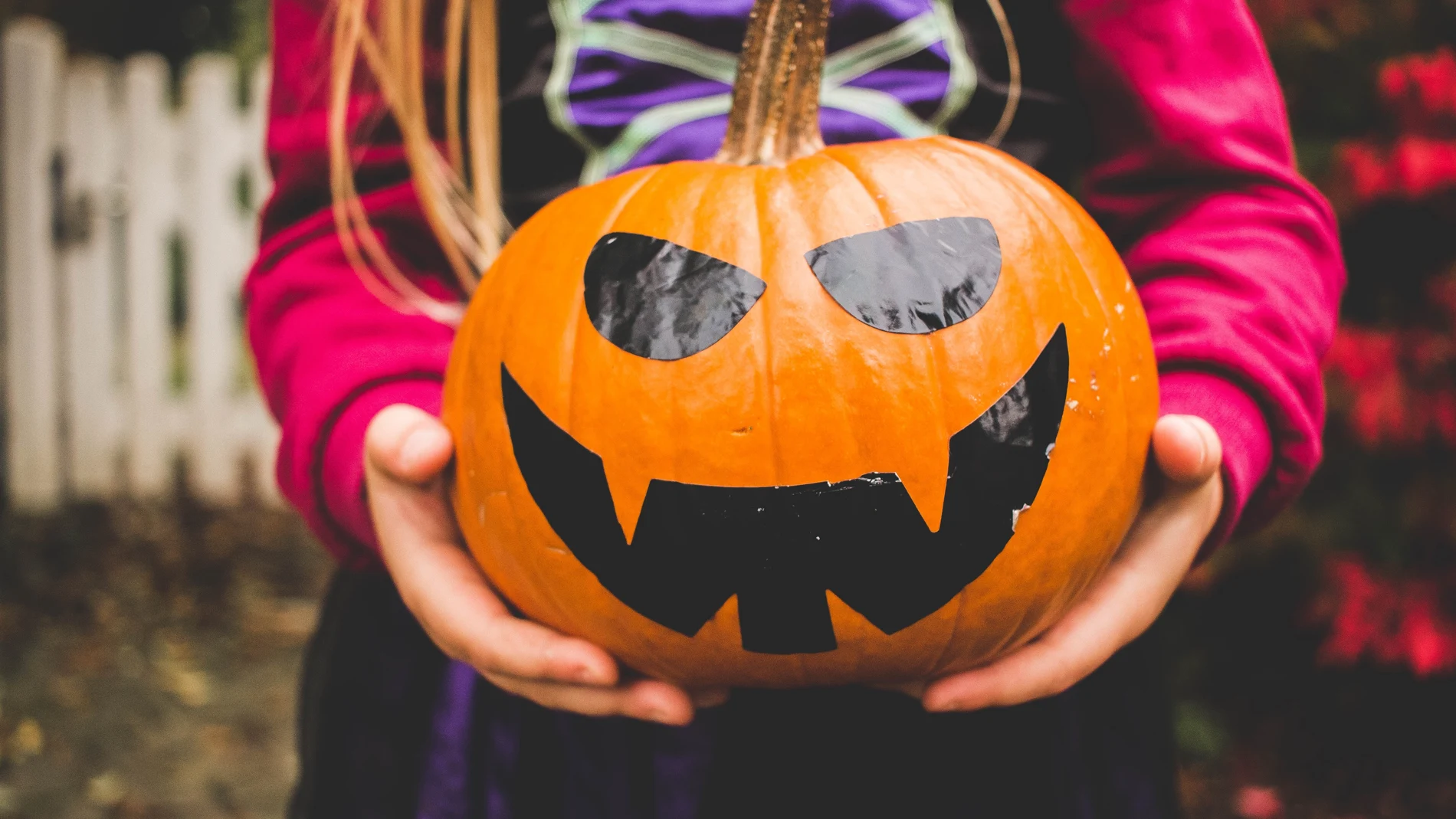 En la imagen, una niña sujeta una calabaza de Halloween.