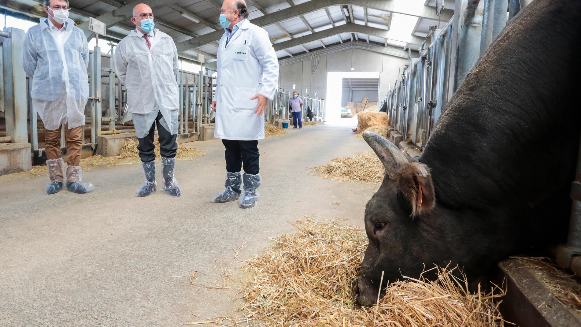 El consejero de Agricultura y Ganadería, Jesús Julio Carnero, visita una explotación ganadera de la provincia de León