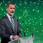 GRAF9392. MADRID, 28/10/2020.- El rey Felipe VI preside y pronuncia el discurso de clausura de la ceremonia de entrega de los Premios Europeos de Medio Ambiente a la Empresa (sección española 2019/2020), organizado por la Fundación Biodiversidad, en el Espacio “Rastro Madrid” en Madrid este miércoles. EFE/J.J. Guillén / POOL