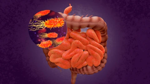 Bacterias intestinales y depresión