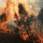 El incendio de Bejís ya está estabilizado