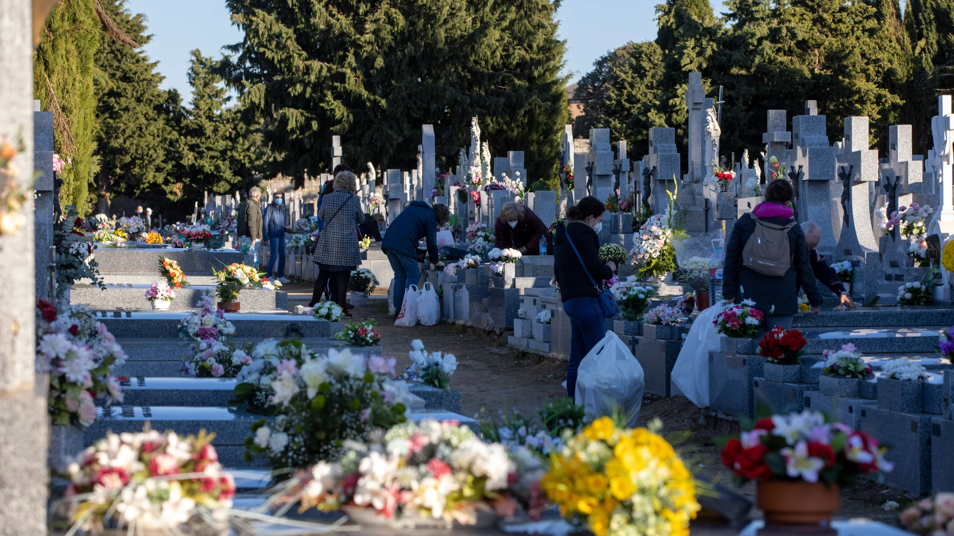 Medidas anti Covid y preparativos para la festividad de todos los Santos en el cementerio de Ávila