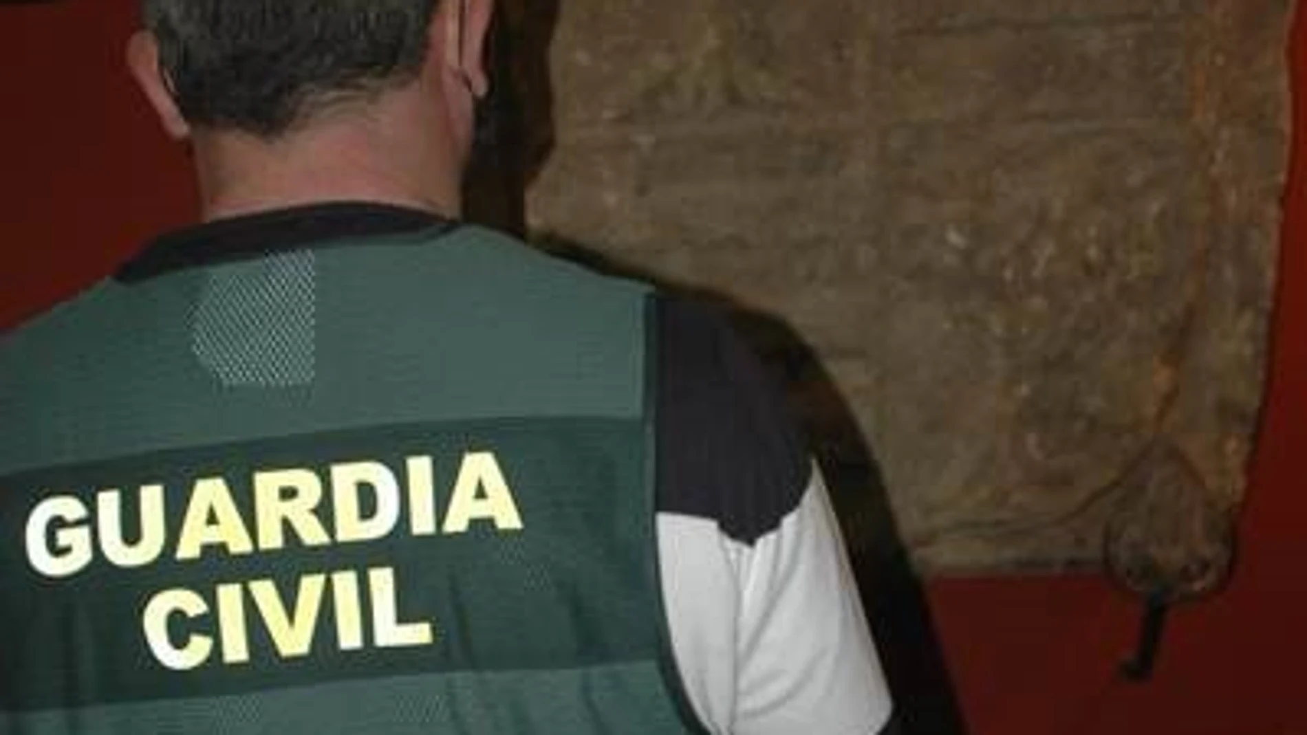 Intervención de un agente en Soria.GUARDIA CIVIL03/11/2020