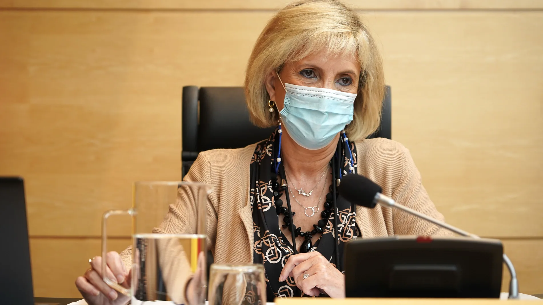 La consejera de Sanidad, Verónica Casado, en la Comisión de Sanidad de las Cortes