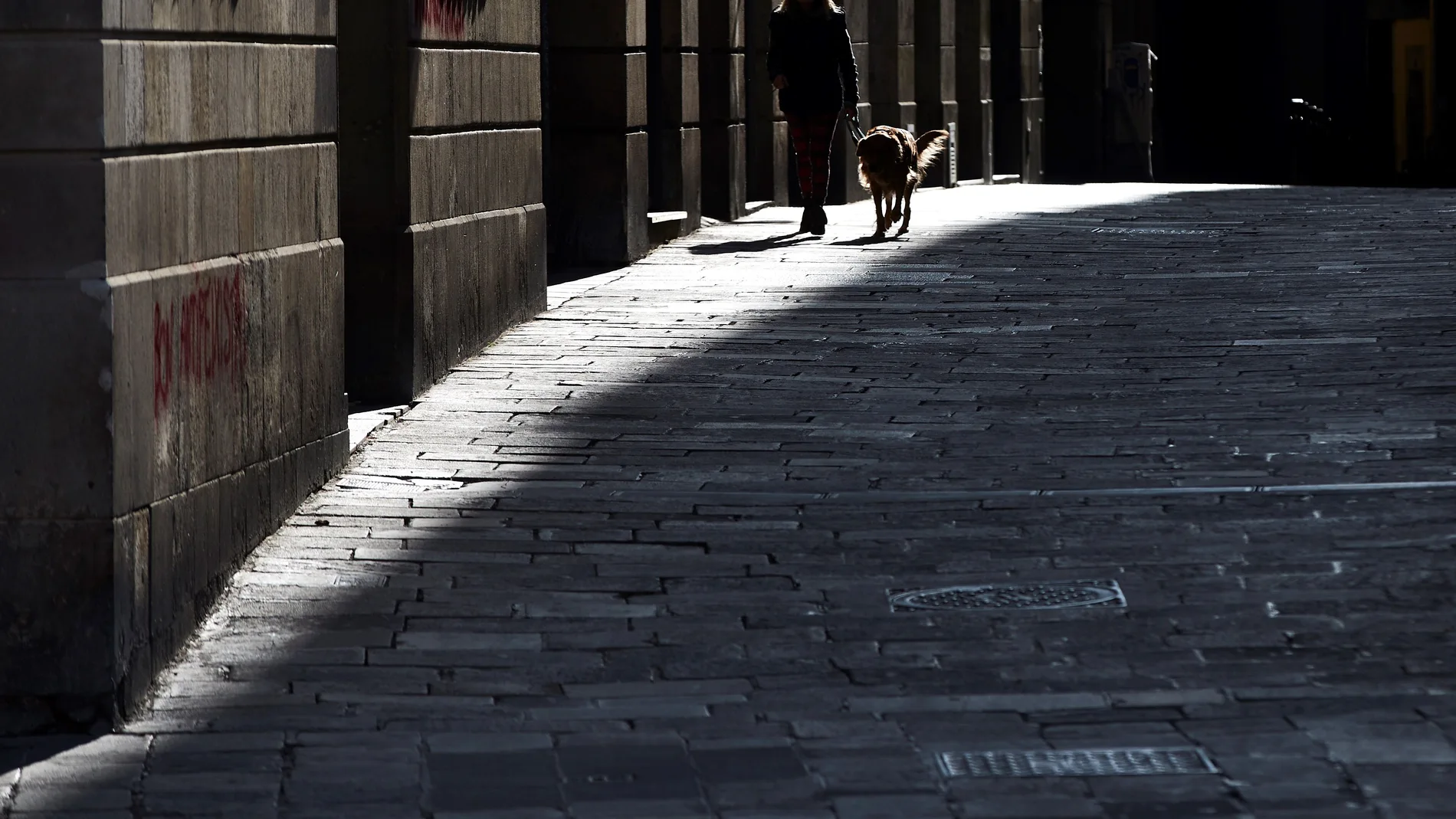 Una persona pasea asu perro por el barrio Gótico de Barcelona. EFE/Alejandro García