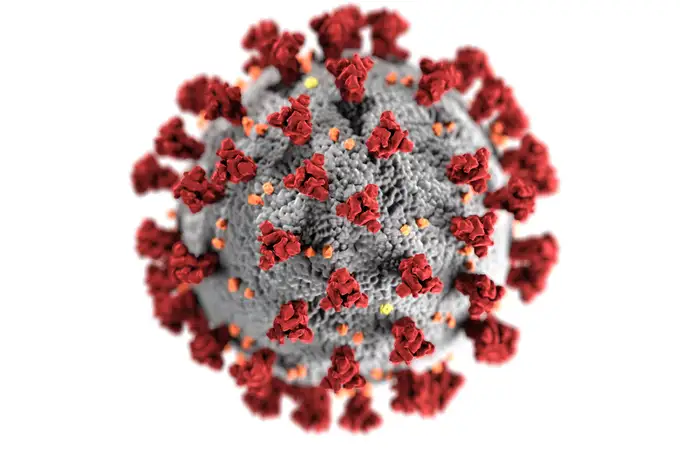 Nuevo revés a la investigación del coronavirus