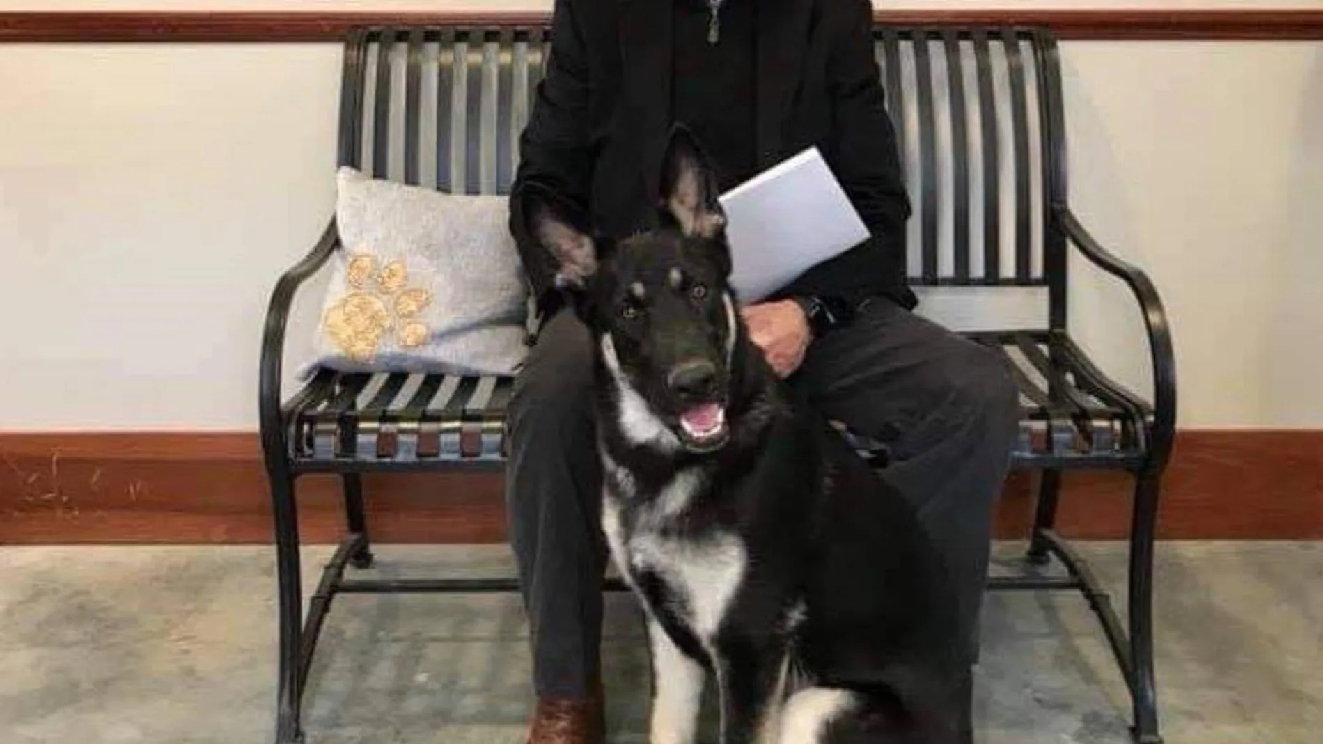 Joe Biden junto a su perro Major