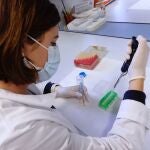 Científicos del Instituto de Biología y Genética Molecular (IBGM), centro mixto de la Universidad de Valladolid (UVa) y el Centro Superior de Investigaciones Científicas (CSIC)