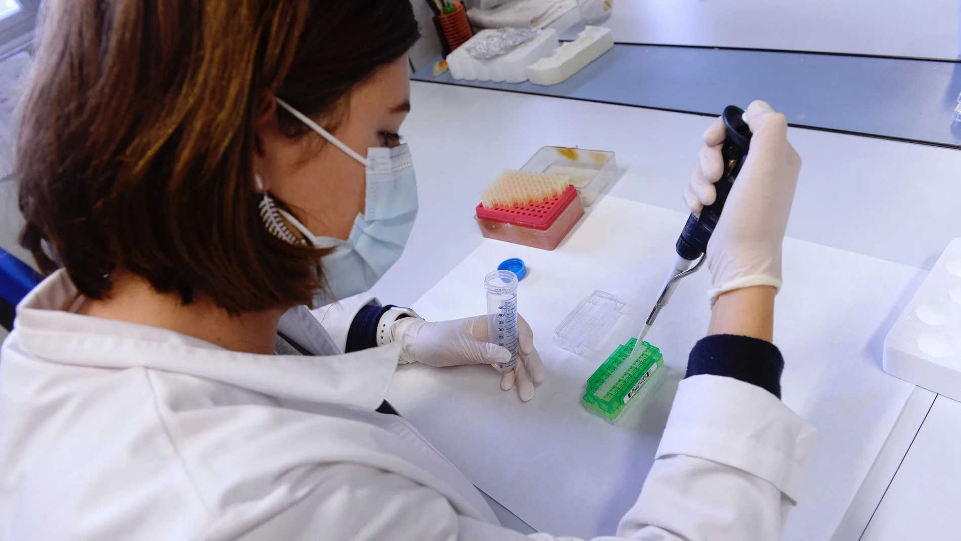 Científicos del Instituto de Biología y Genética Molecular (IBGM), centro mixto de la Universidad de Valladolid (UVa) y el Centro Superior de Investigaciones Científicas (CSIC)