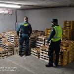 Operación de la Guardia Civil en Soria contra la recogida ilegal de setas