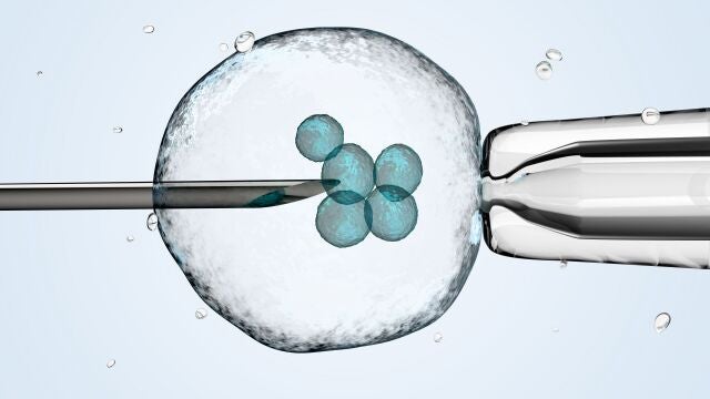 cell is holding by a pipet and a neeldle.