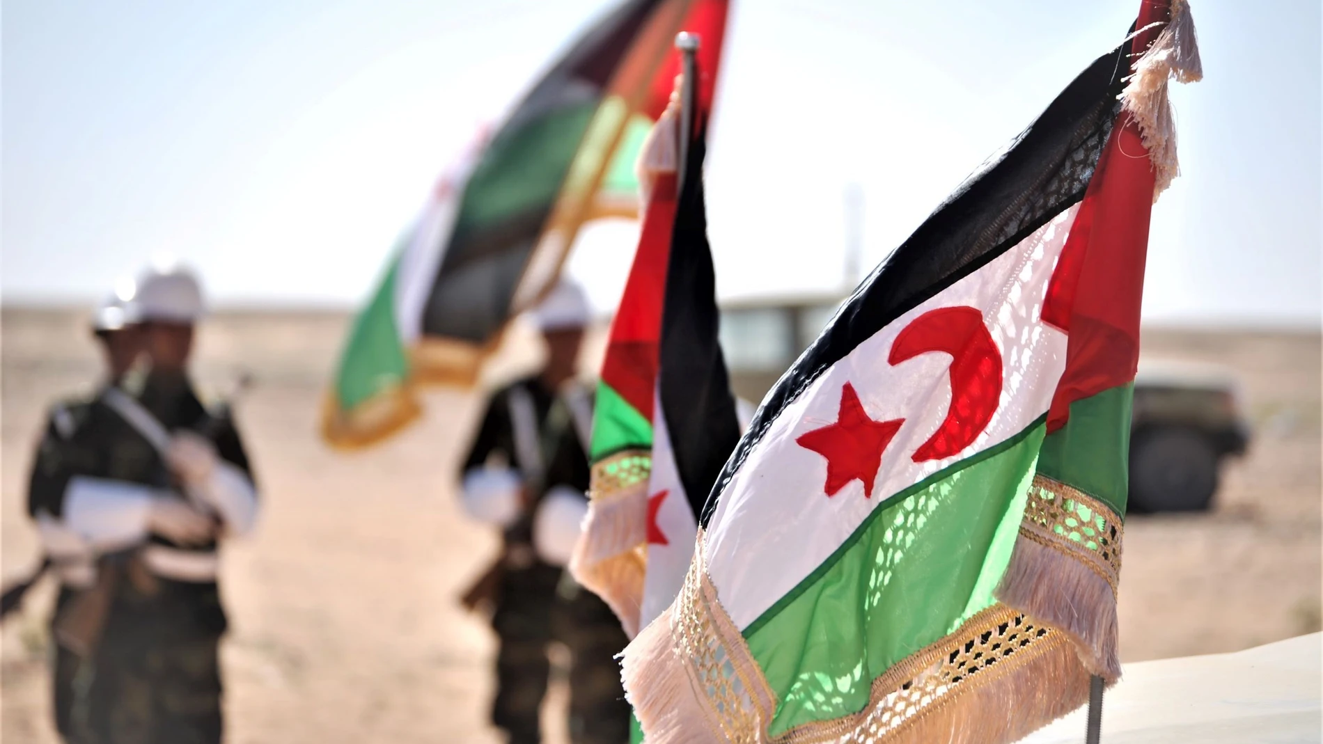 Banderas de la República Árabe Saharaui Democrática (RASD)-Cedida por el Frente Polisario a Ep-