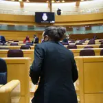 El vicepresidente segundo del Gobierno, Pablo Iglesias, en el Senado