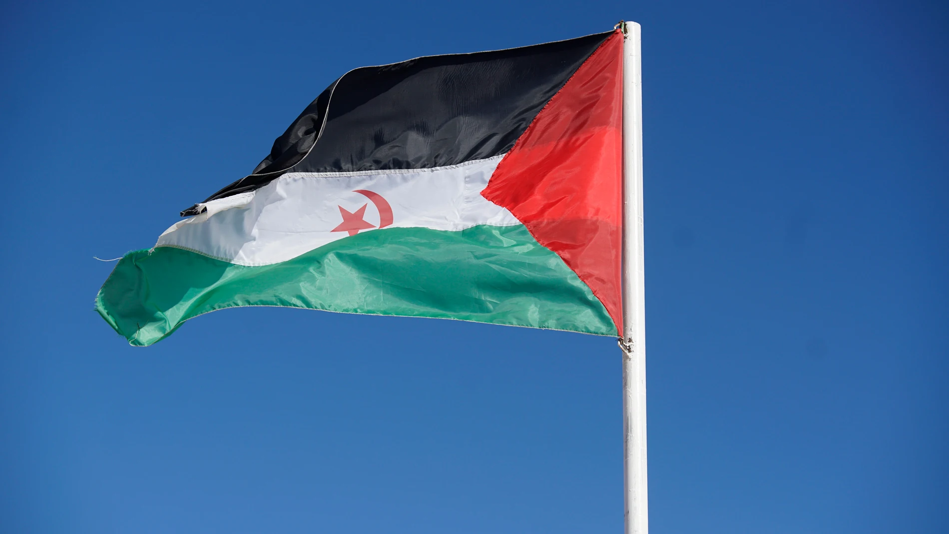 Bandera de la República Árabe Saharaui DemocráticaCEDIDA POR EL FRENTE POLISARIO (Foto de ARCHIVO)23/12/2019