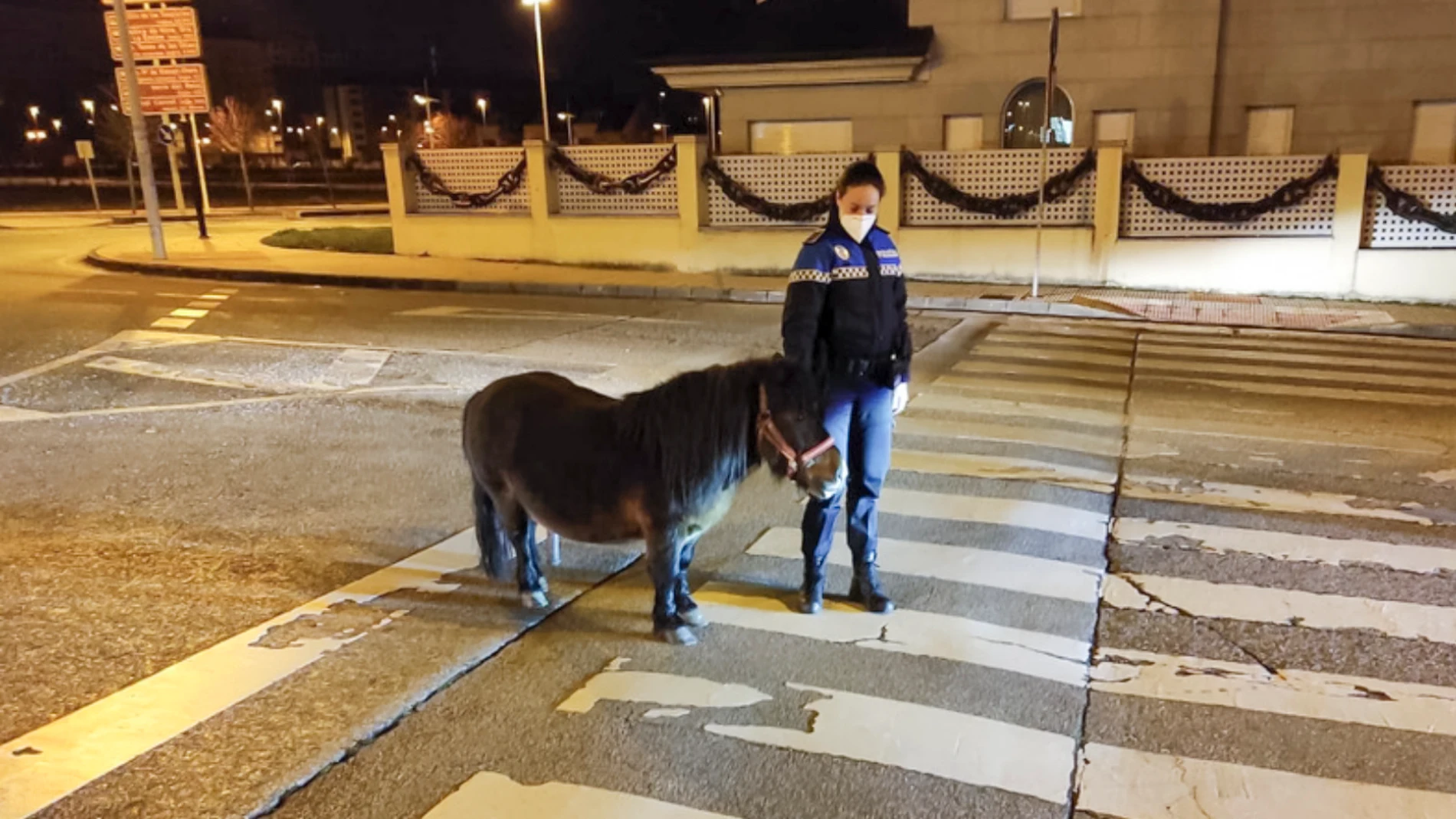 Poni encontrado por la Policía Municipal de Ponferrada