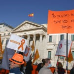 Convocados por la Plataforma Más Plurales, colectivos de la educación concertada se manifiestan contra la "Ley Cela" en el Congreso, el día de su aprobación, en Madrid (España)