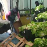 La Guardia Civil se ha incautado de 155 kilos de marihuana ocultos en cajas de verdura