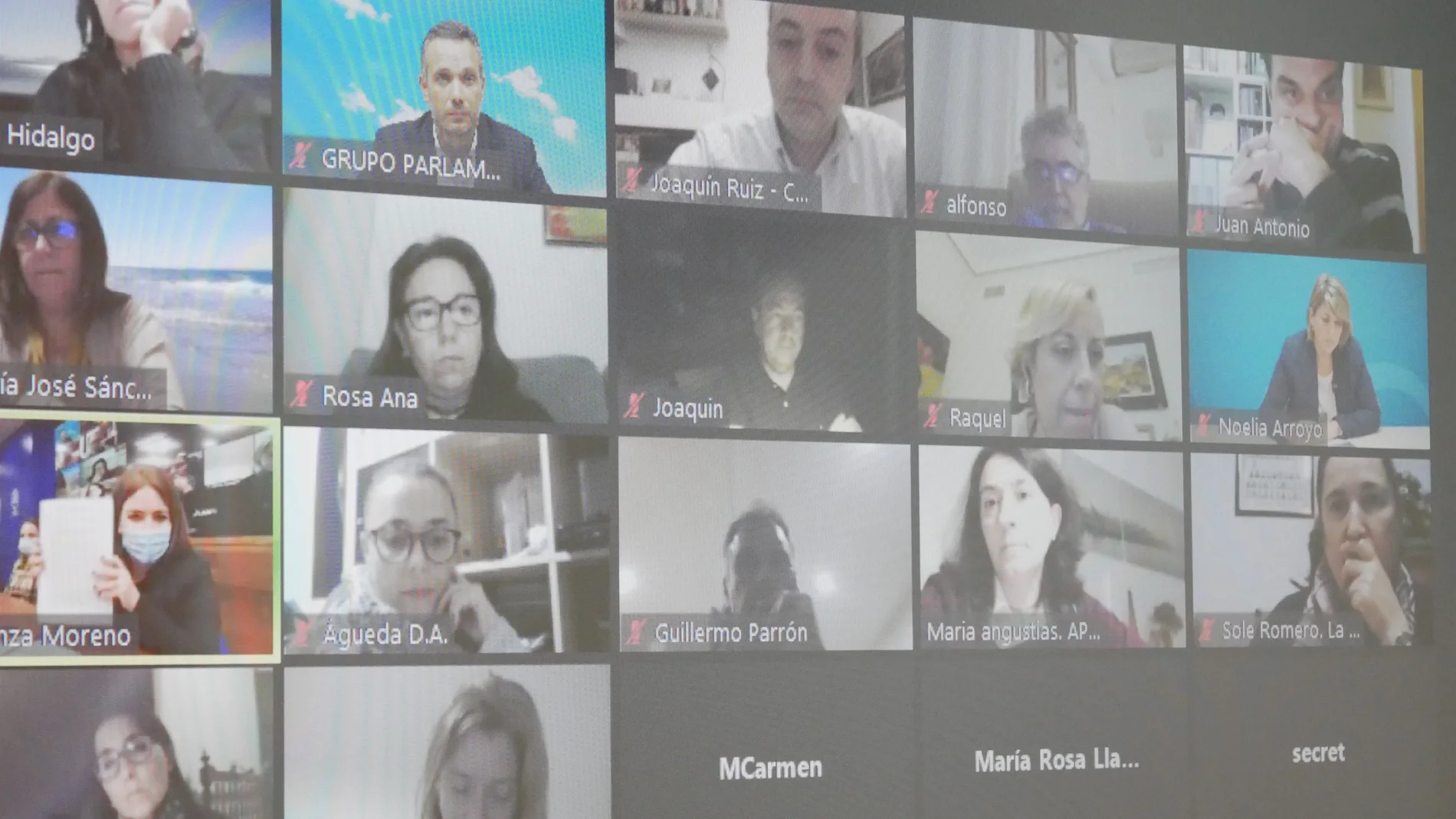 Imagen de los participantes en la videoconferencia de los representantes del PP con los de la enseñanza concertadaPP23/11/2020