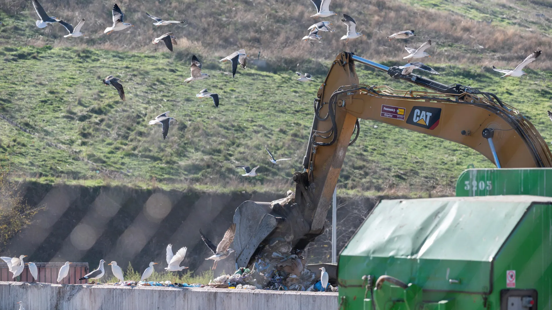 Cientos de aves , sobre todo cigüeñas y gaviotas, se alimentan de las basuras en el vertedero de la Mancomunidad del Este en Alcalá de Henares, en el que se canceló la entrada de basuras el pasado 27 de diciembre de 2019.