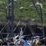 El cuerpo ha aparecido entre los restos del vertedero