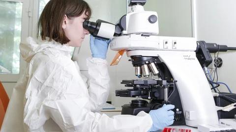 El estudios se ha hecho con datos de 9.644 pacientes de 147 hospitales españoles