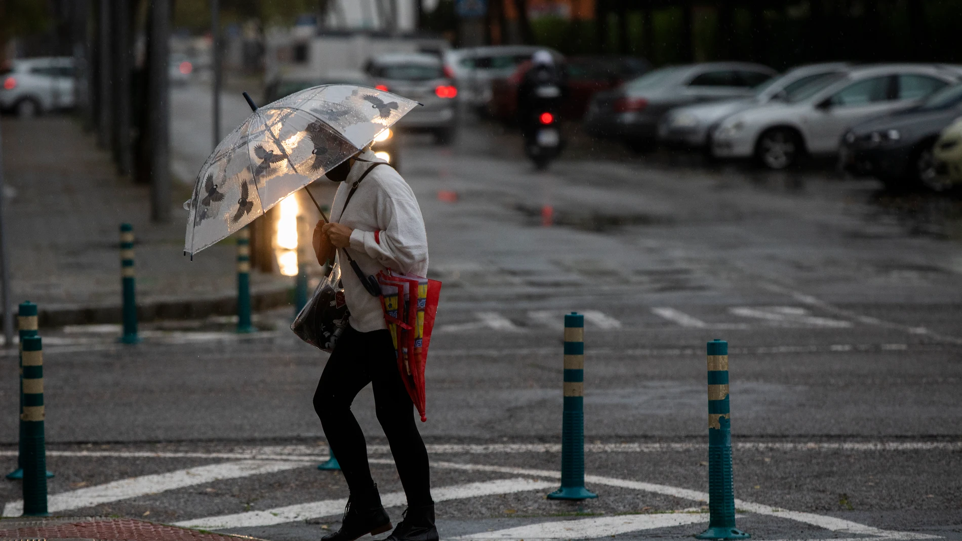 Una mujer camina protegida de la lluvia con un paraguas