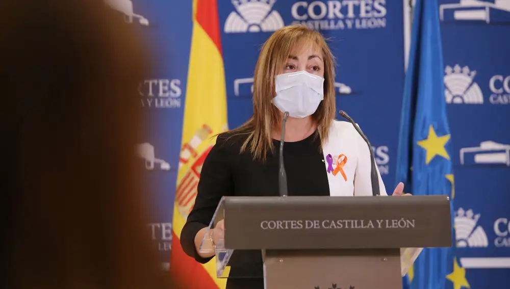 La procuradora de Ciudadanos, maría teresa Gago, presenta las propuestas de Ciudadanos a la futura Ley Residencial de la Comunidad
