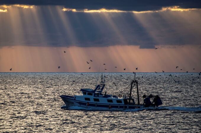 Un barco pesquero regresa a puerto después de faenar