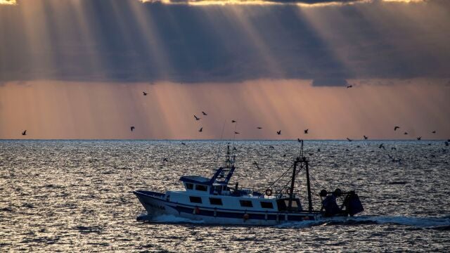 Un barco pesquero regresa a puerto después de faenar