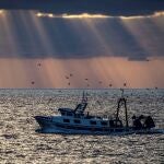 Un barco pesquero regresa a puerto después de faenar