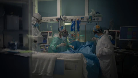 La septicemia es una infección producida por microorganismos patógenos en la sangre