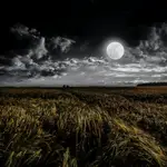 En la imagen, la luna llena sobre el campo.