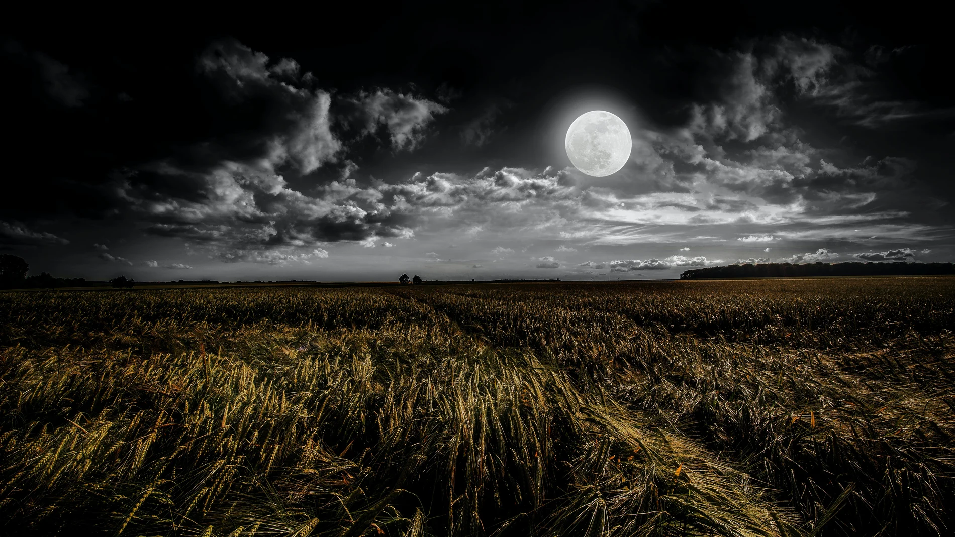 En la imagen, la luna llena sobre el campo.