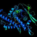 Plegamiento de una proteína donde se ve su estructura tridimensional, la cual condiciona las funciones que cumple en nuestro organismo.