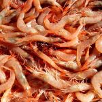 Langostinos