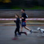 Si el perro está en una familia deportista será un animal mucho más activo que en una sedentaria