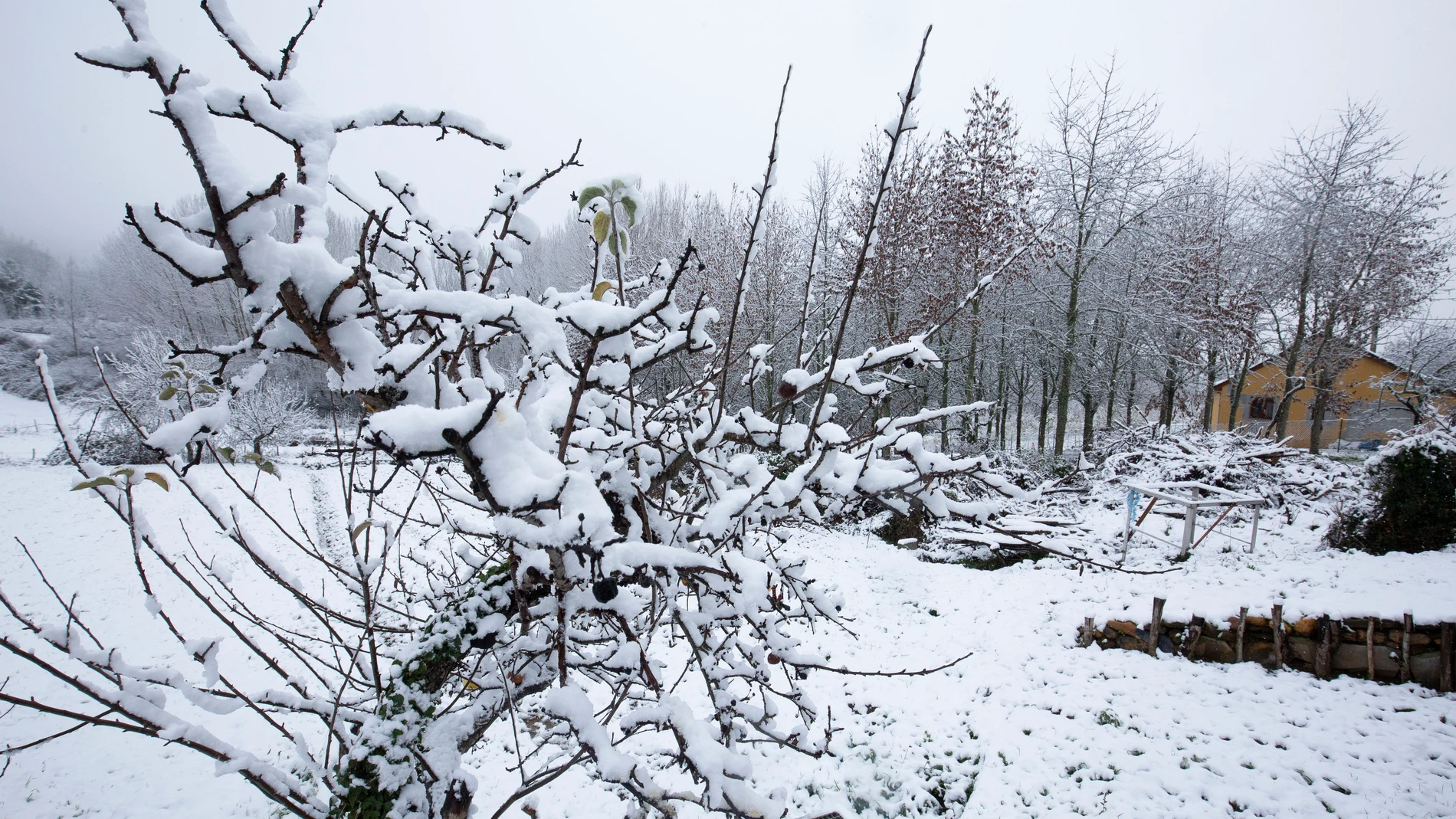 Temporal de nieve en el Bierzo