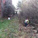 Brigadas Forestales de Soria