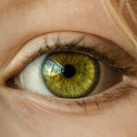 Esta investigación supone un gran avance al confirmar el potencial de la retina como biomarcador en enfermedades neurodegenerativas como la esclerosis múltiple o el alzhéimer
