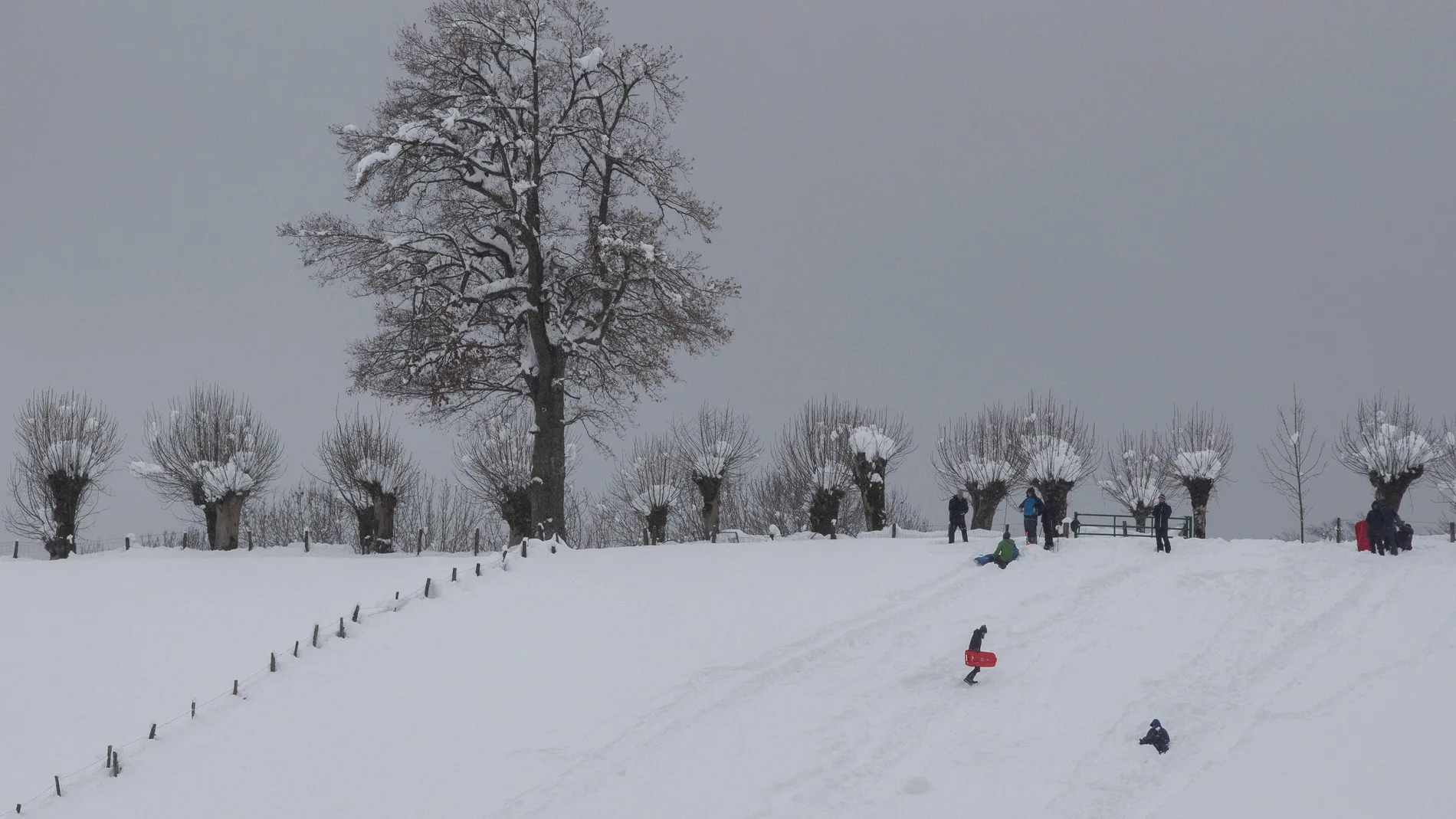Varias familias se divierten en la nieve acumulada en Roncesvalles tras el primer temporal de nieve y frío que azotó el centro y norte de la comunidad Foral el pasado puente de la Constitución