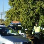 Según el Observatorio Europeo para la Seguridad Vial, alrededor del 25% de las muertes en carretera en Europa están relacionadas con el alcohol