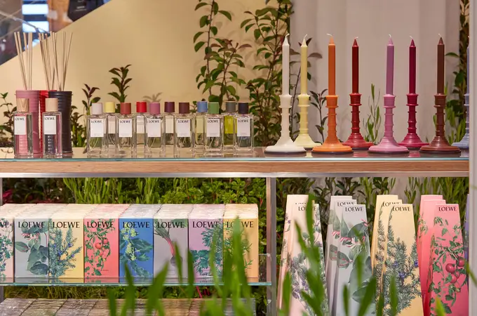 ¿Cómo llenar tu hogar de auténtica belleza olfativa? Paseando por el jardín botánico de Loewe 