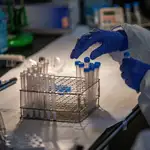 Profesionales sanitarios realizan test antígenos masivos de detección de la COVID-19 en el recinto modernista del Hospital de Sant Pau.