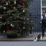 El gato Larry se estira ante el policía que hace guardia en la puerta del Número 10 este pasado 5 de diciembre